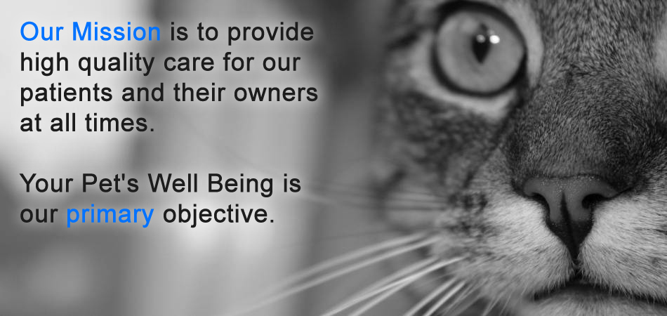 Welcome to the Royal Animal Hospital 
( H.O.D. Animal Hospital Group), <br>
State-of-the-art medical care by Western Veterinarians.